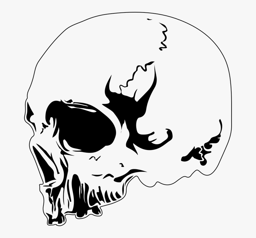 Detail Gambar Kepala Tengkorak Gambar Skull Keren Nomer 2