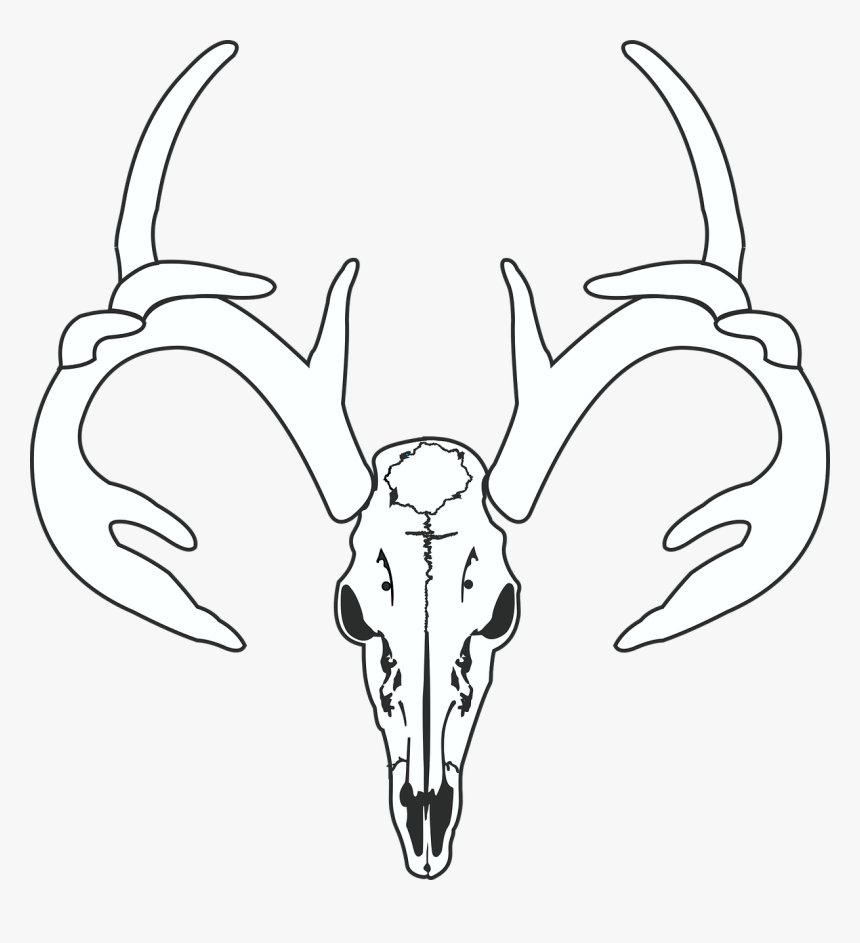 Detail Gambar Kepala Tengkorak Gambar Skull Vector Nomer 35
