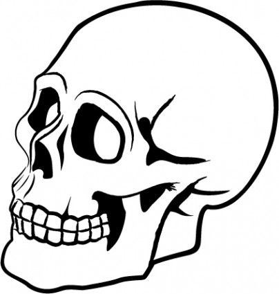 Detail Gambar Kepala Tengkorak Gambar Skull Vector Nomer 5