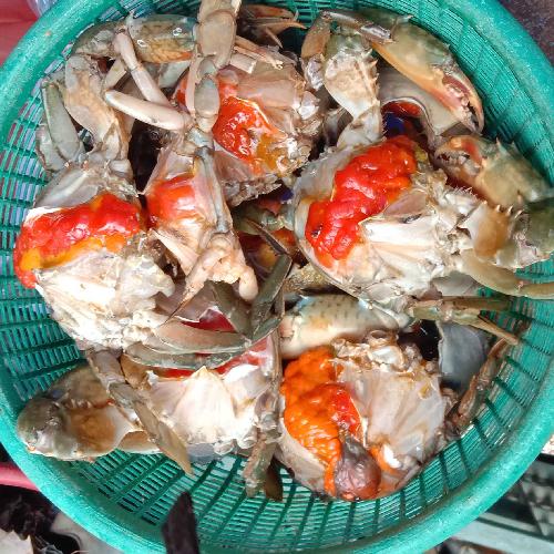 Detail Gambar Kepiting Besar Nomer 39