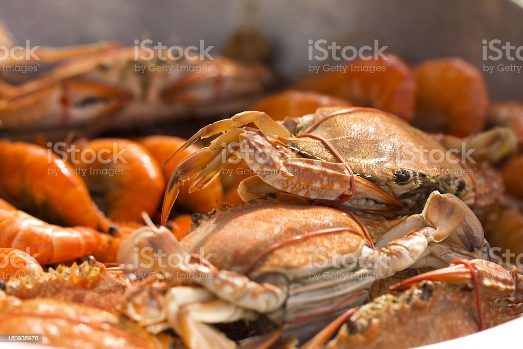 Detail Gambar Kepiting Dan Udang Nomer 10