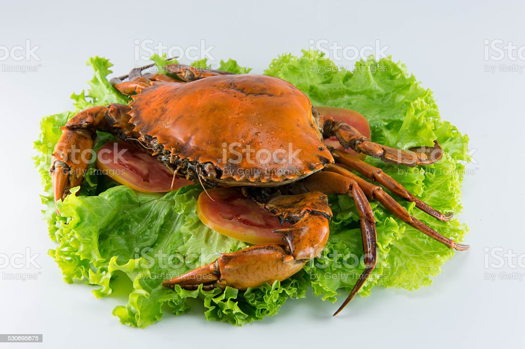 Detail Gambar Kepiting Dan Udang Nomer 27