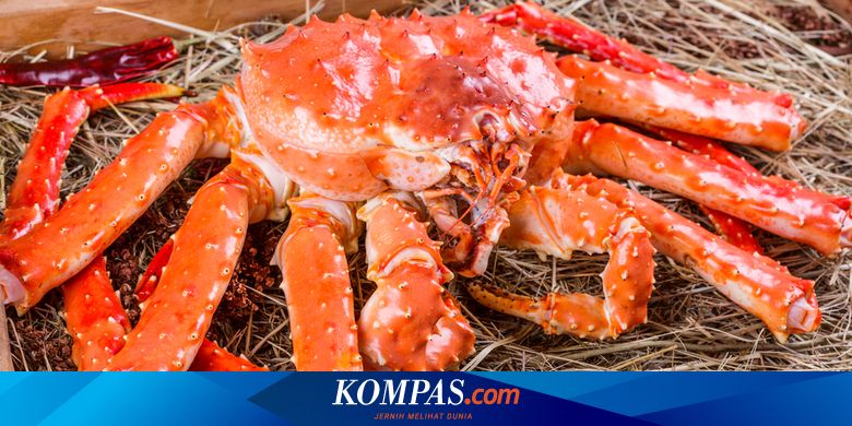 Detail Gambar Kepiting Laut Nomer 21