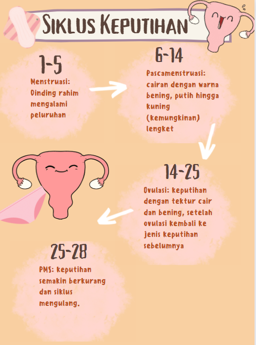 Detail Gambar Keputihan Normal Setiap Hari Nomer 15