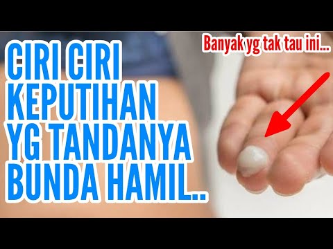 Detail Gambar Keputihan Saat Hamil Muda Nomer 24