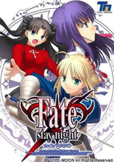 Detail Fate Stay Night H Scenes Nomer 45