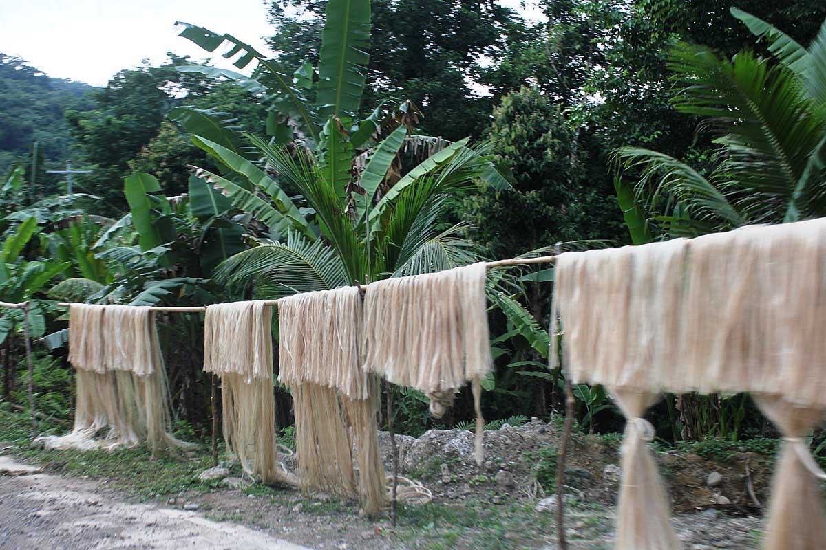 Detail Gambar Kerajinan Serat Alam Dari Daun Pisang Nomer 17