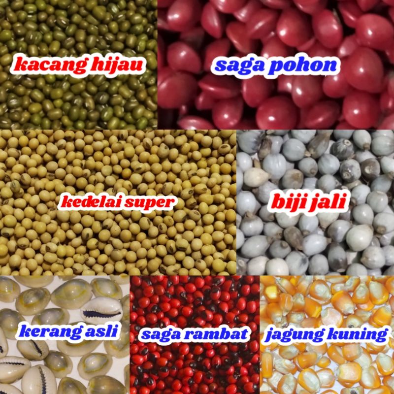 Detail Gambar Kerajinan Tangan Bunga Dari Kacang Hijau Nomer 55