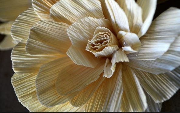 Detail Gambar Kerajinan Tangan Bunga Dari Kacang Hijau Nomer 57