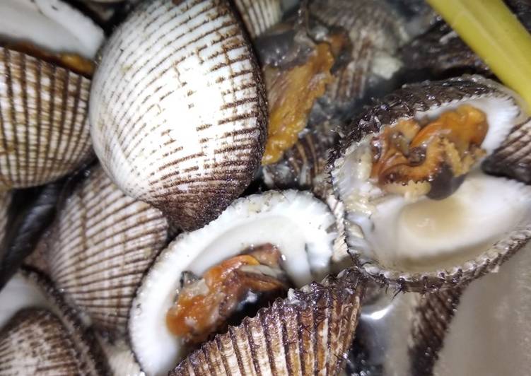 Detail Gambar Kerang Bulu Nomer 21