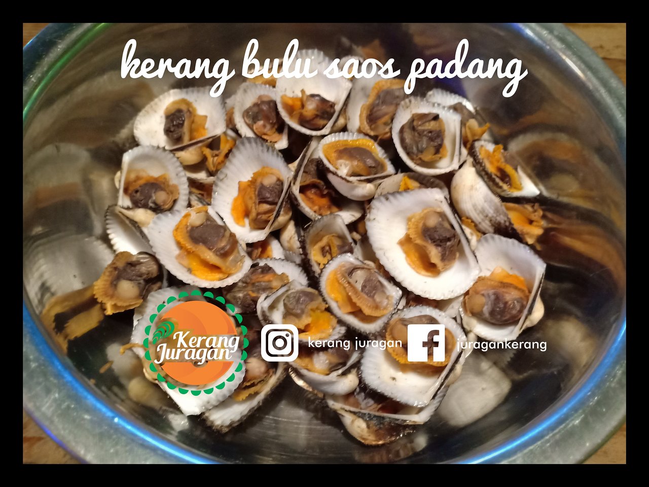 Detail Gambar Kerang Bulu Nomer 41