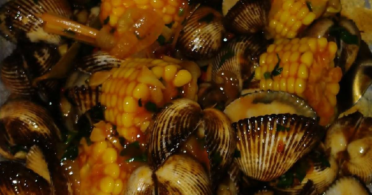 Detail Gambar Kerang Bulu Nomer 45