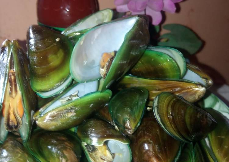 Detail Gambar Kerang Hijau Nomer 33