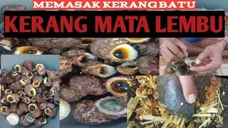 Detail Gambar Kerang Mata Bulan Nomer 28