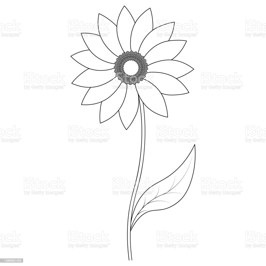 Detail Gambar Kerangka Bunga Matahari Nomer 2