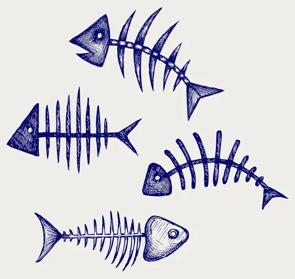 Detail Gambar Kerangka Ikan Nomer 22