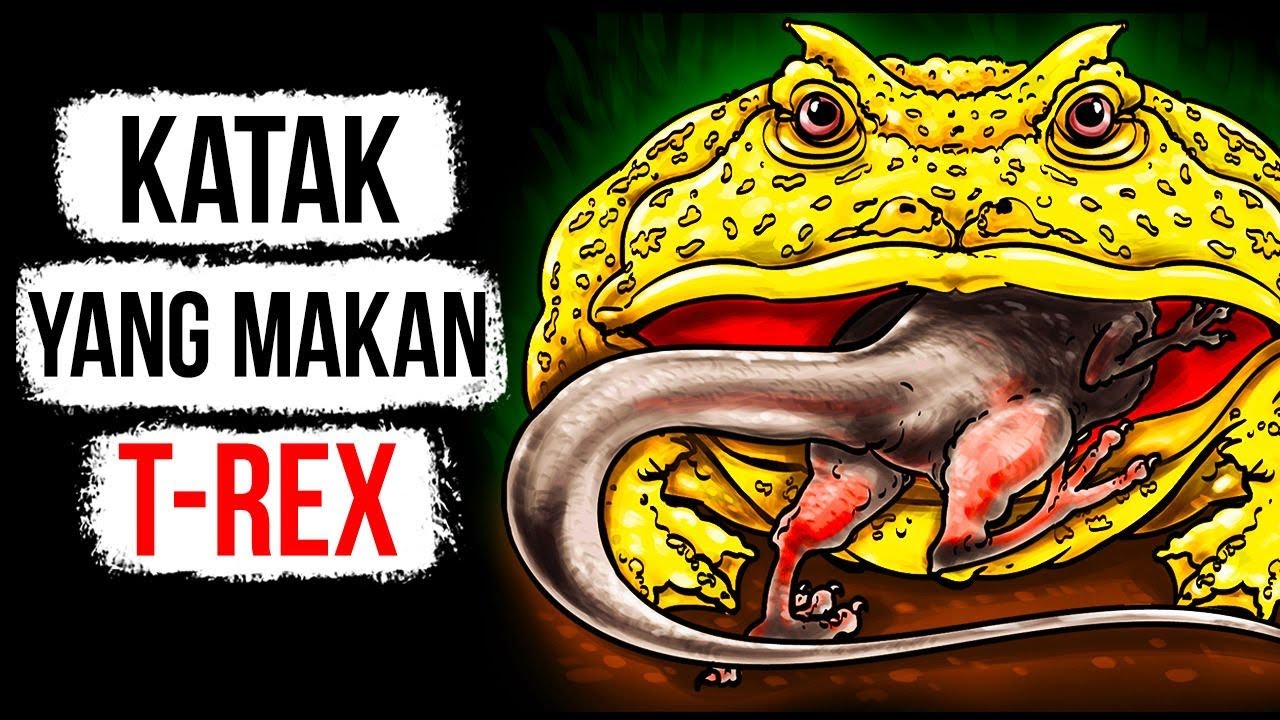 Detail Gambar Kerangka Katak Nomer 47