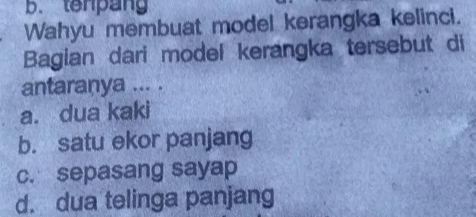 Detail Gambar Kerangka Kelinci Nomer 39