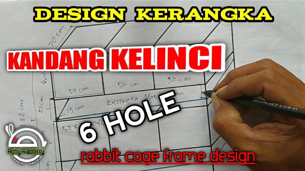 Detail Gambar Kerangka Kelinci Nomer 52