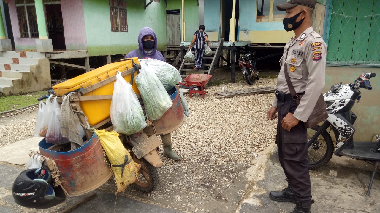 Detail Gambar Keranjang Sayur Keliling Nomer 47