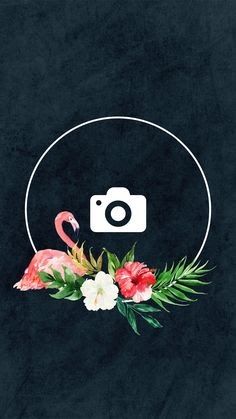 Detail Gambar Keren Instagram Nomer 9