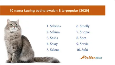 Detail Gambar Keren Kucing Kembar Nomer 36