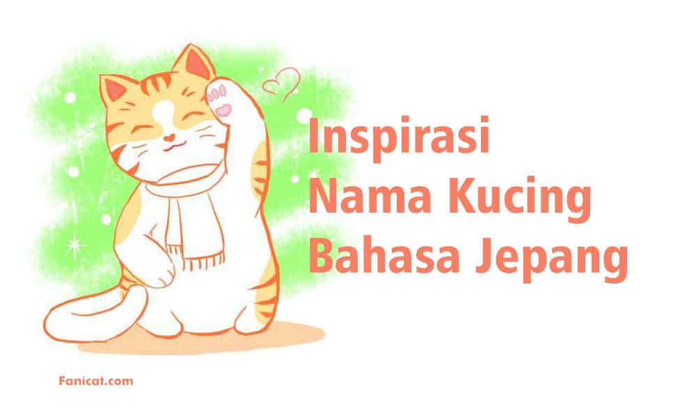 Detail Gambar Keren Kucing Kembar Nomer 41