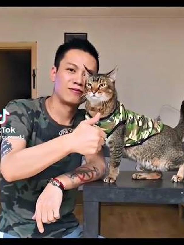 Detail Gambar Keren Kucing Kembar Nomer 53