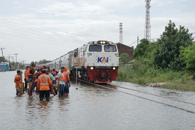 Detail Gambar Kereta Api Panjang Nomer 24