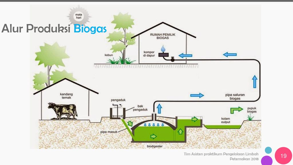 Detail Gambar Kerja Biogas Nomer 39