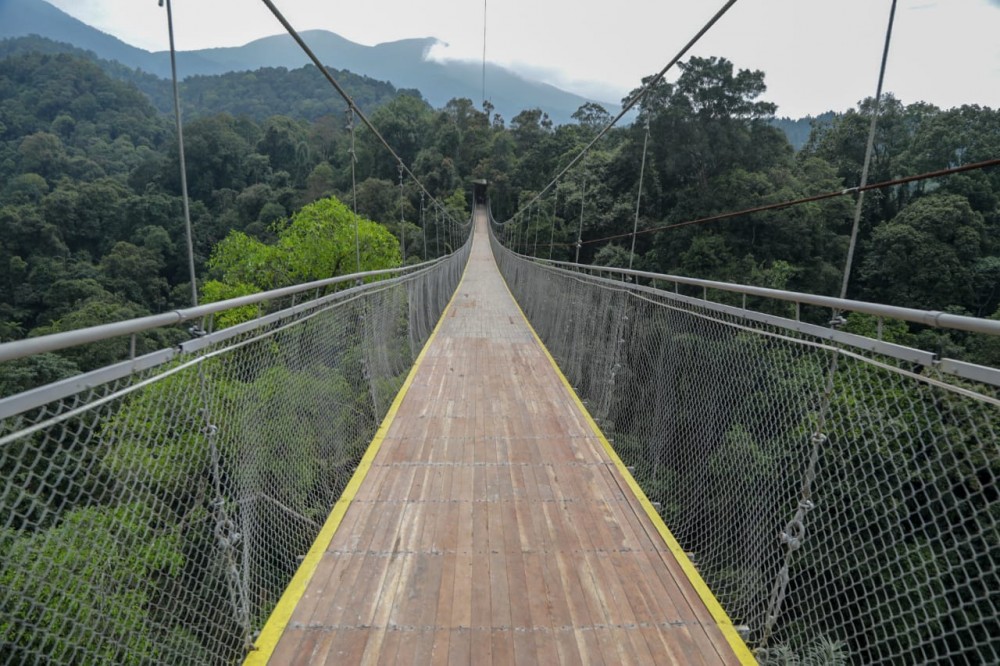 Detail Gambar Kerja Jembatan Gantng Nomer 39