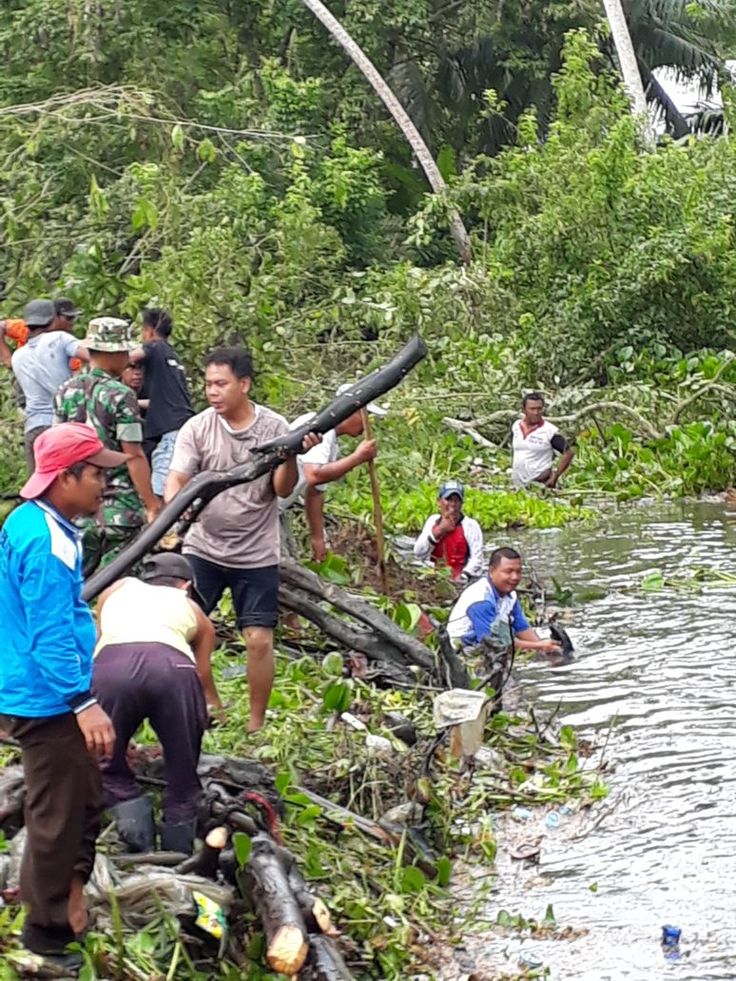 Detail Gambar Kerja Sama Di Masyarakat Nomer 30