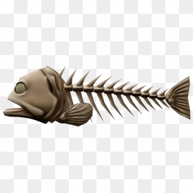Detail Betta Fish Skeleton Nomer 26
