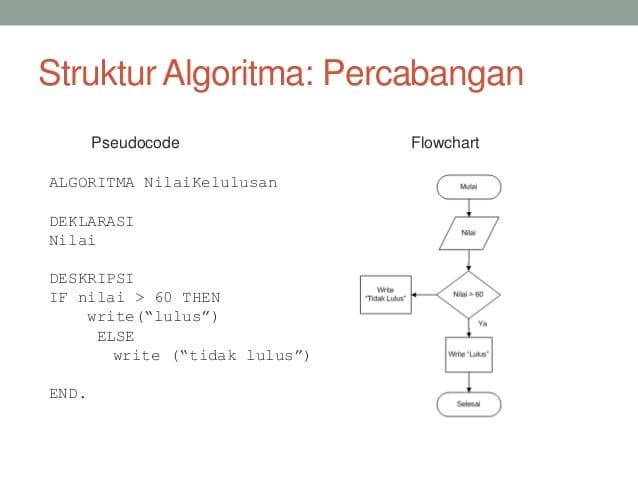 Detail Contoh Penulisan Algoritma Koleksi Nomer 44