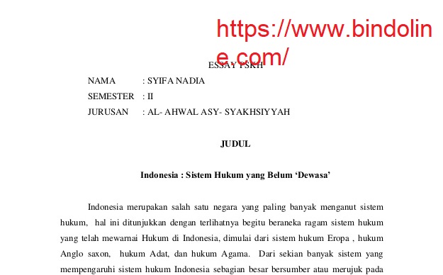 Detail Contoh Penulisan Essay Nomer 32