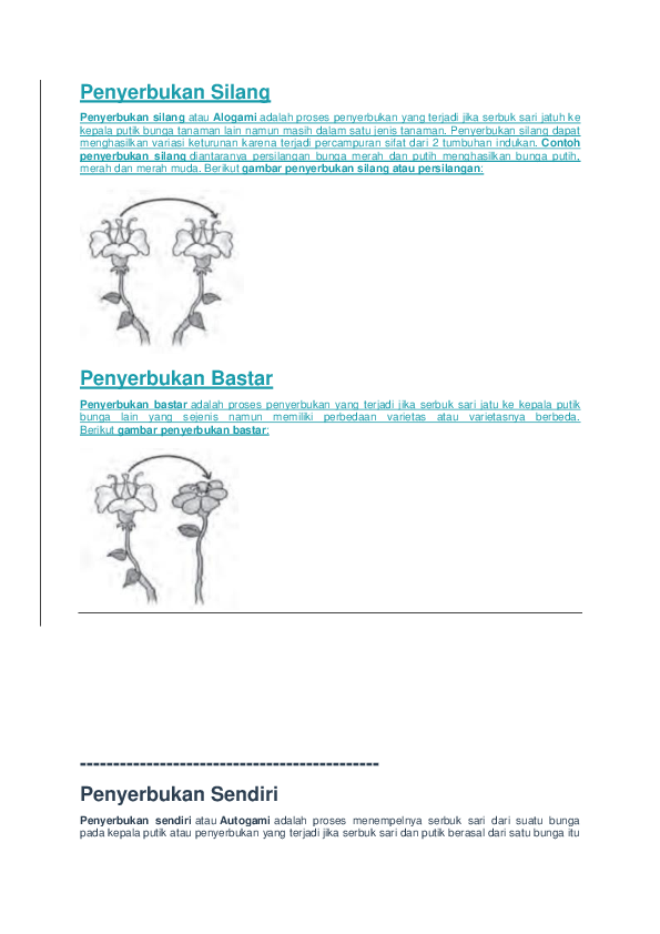 Detail Contoh Penyerbukan Bastar Nomer 55