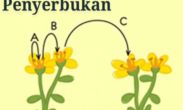 Detail Contoh Penyerbukan Sendiri Nomer 2