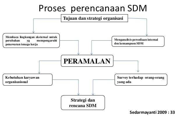 Detail Contoh Perencanaan Sdm Nomer 38