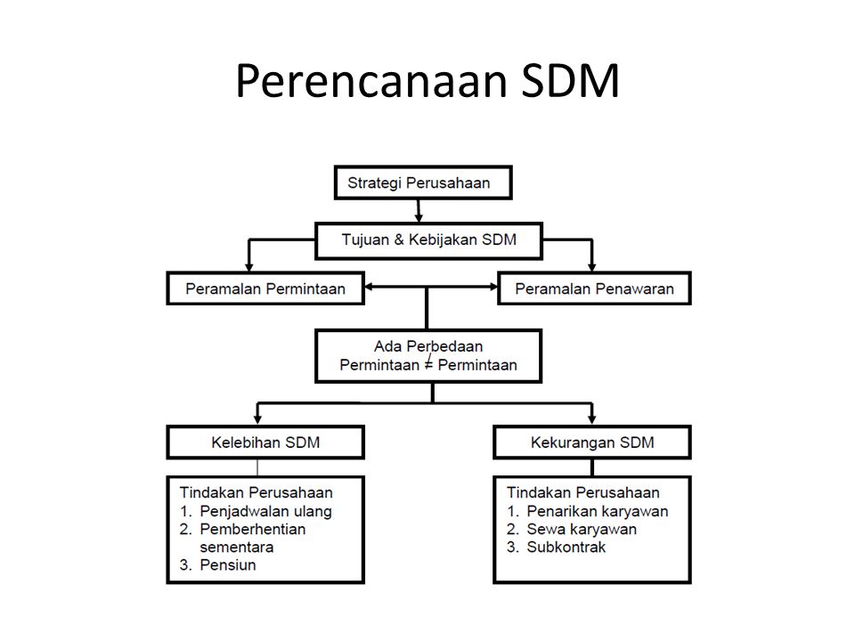 Detail Contoh Perencanaan Sdm Dalam Perusahaan Nomer 6