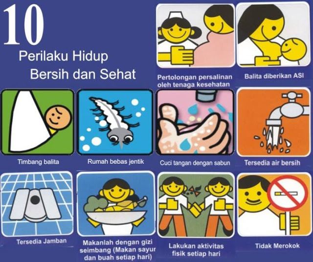 Detail Contoh Perilaku Hidup Bersih Dan Sehat Di Rumah Nomer 12