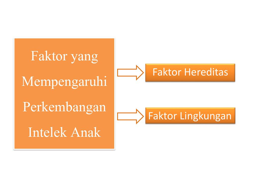 Detail Contoh Perkembangan Intelektual Nomer 26