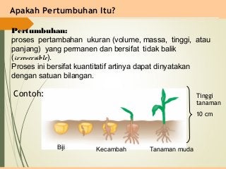 Detail Contoh Perkembangan Tumbuhan Nomer 7