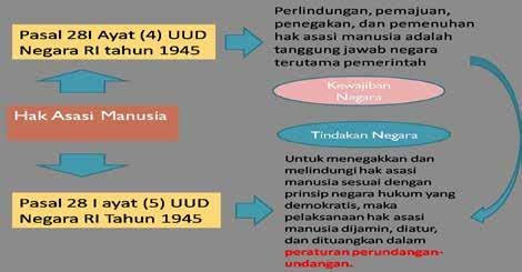 Detail Contoh Perlindungan Dan Pemajuan Ham Di Indonesia Nomer 14