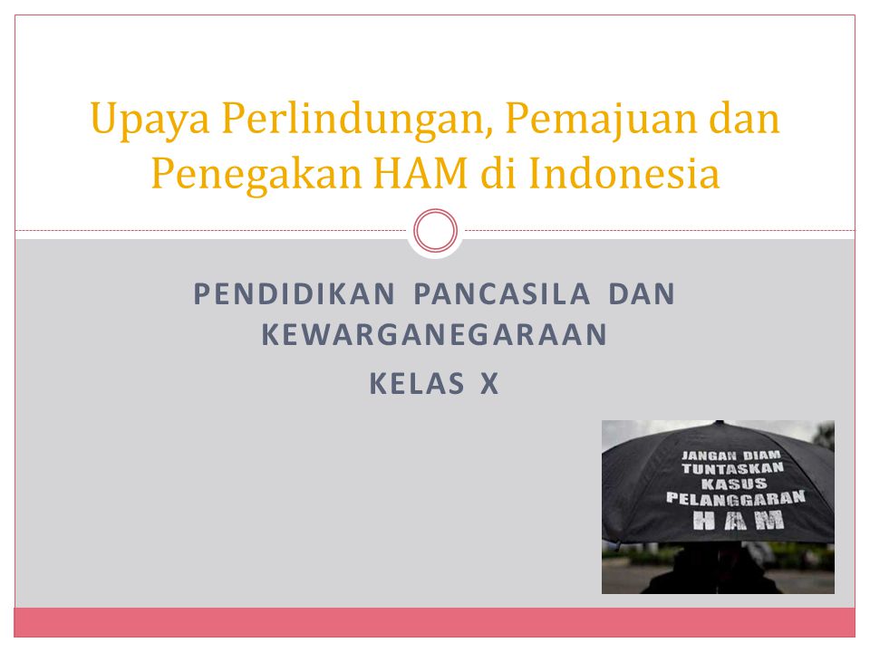 Detail Contoh Perlindungan Dan Pemajuan Ham Di Indonesia Nomer 22