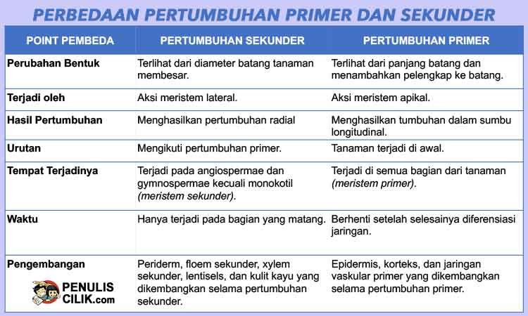 Detail Contoh Pertumbuhan Primer Nomer 11