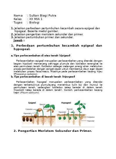 Detail Contoh Pertumbuhan Primer Nomer 16