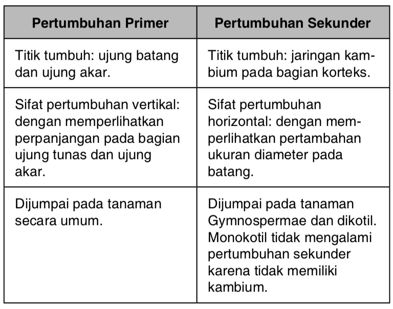 Detail Contoh Pertumbuhan Primer Nomer 25