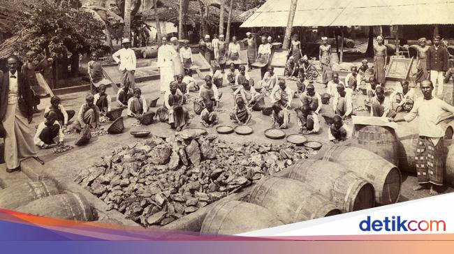 Detail Contoh Perubahan Sosial Di Lingkungan Sekitar Nomer 44