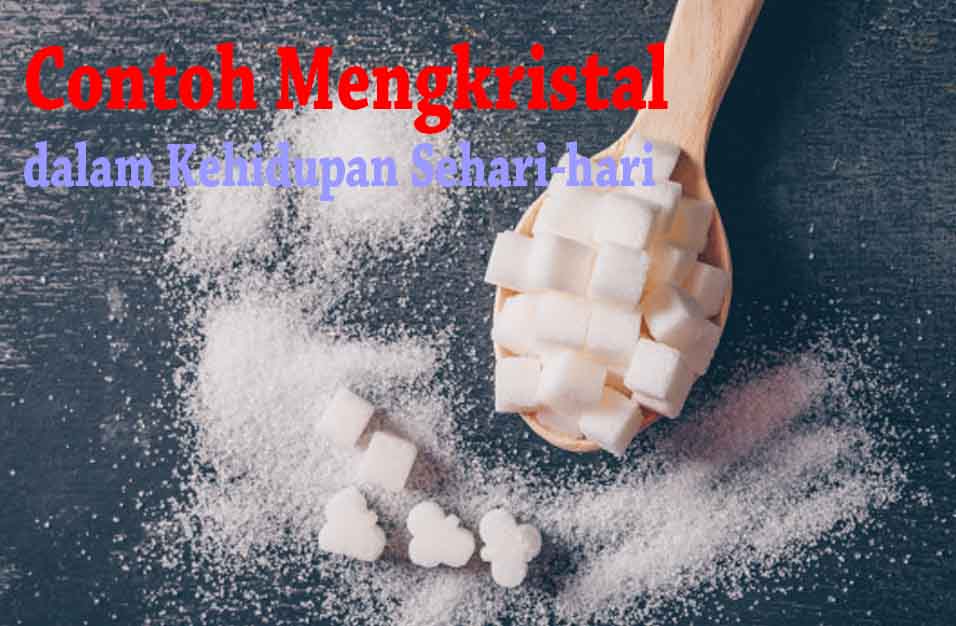 Detail Contoh Perubahan Wujud Menyublim Nomer 33