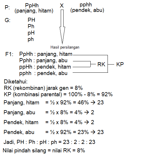 Contoh Pindah Silang - KibrisPDR